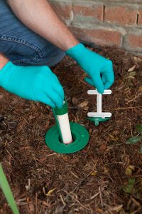 Inserting the bait rod into the bait station